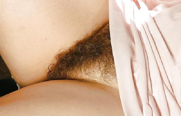 Hairy Gallery  #7204638