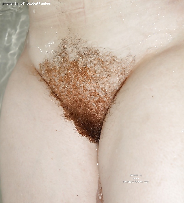 Hairy Gallery  #7204667