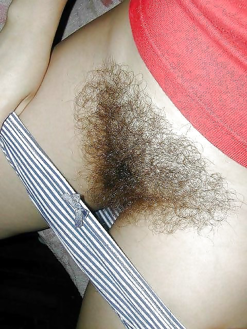 Hairy Gallery  #7204733