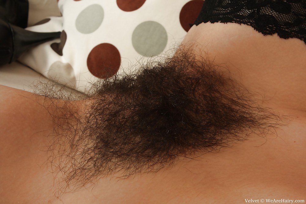 Hairy Gallery  #7205152