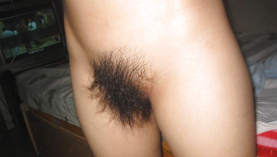 Hairy Gallery  #7205629