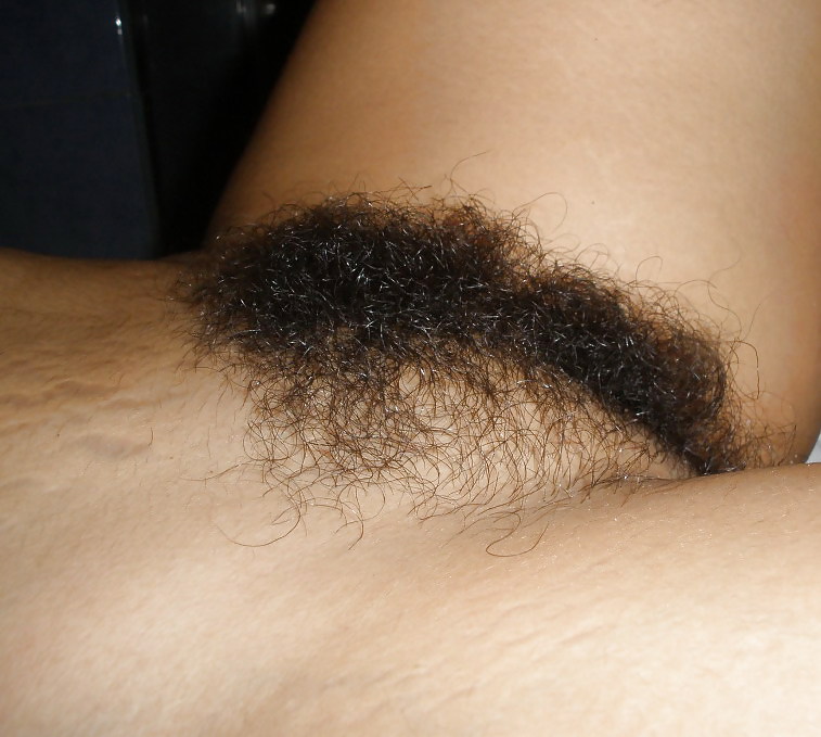 Hairy Gallery  #7205656
