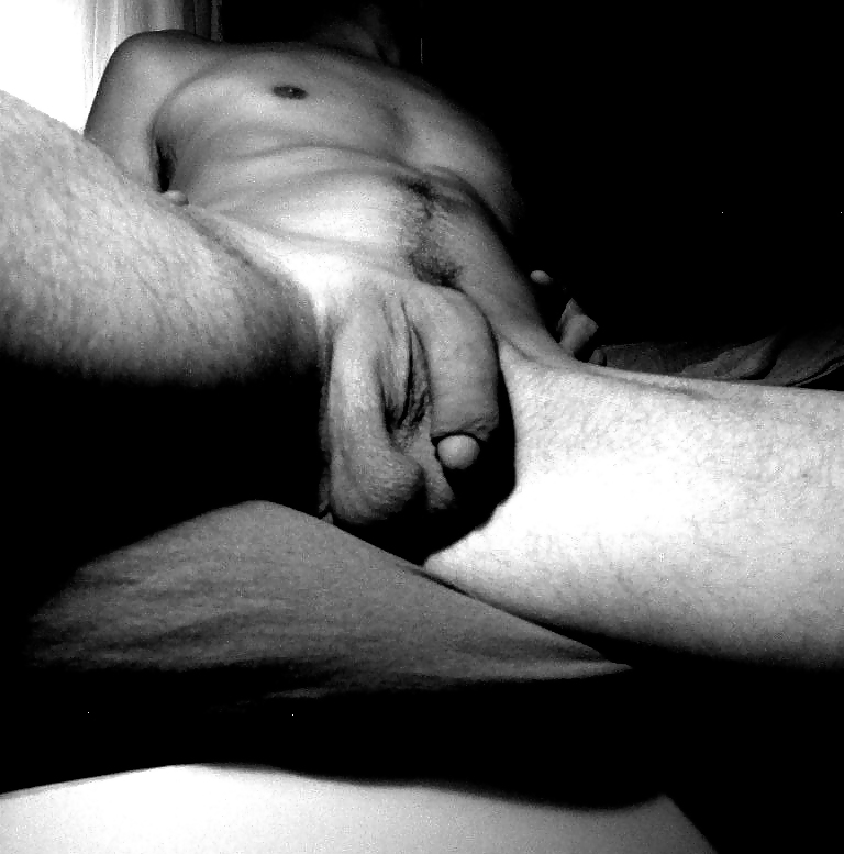 BW Youngbull #8917769