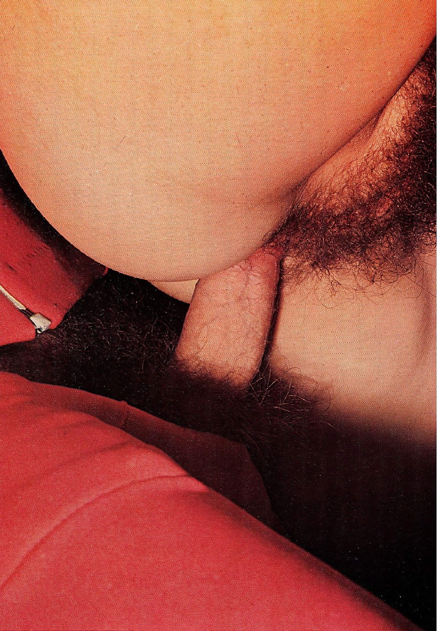 SH Retro Close View Porn Scans #19892709