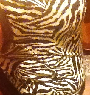 My big booty slave bitch #14463538