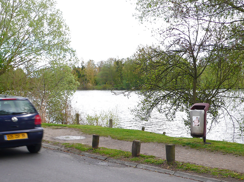 サロペの博覧会
 #22401135