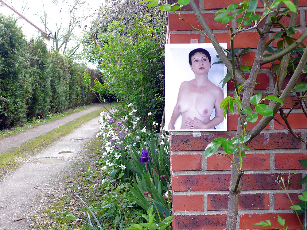 サロペの博覧会
 #22401154