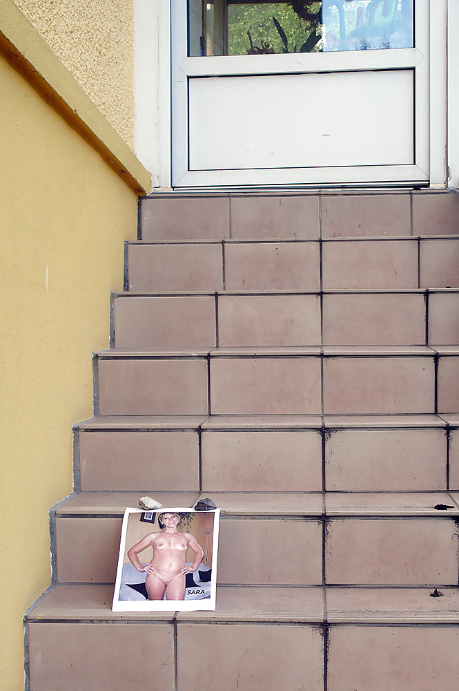 サロペの博覧会
 #22401173