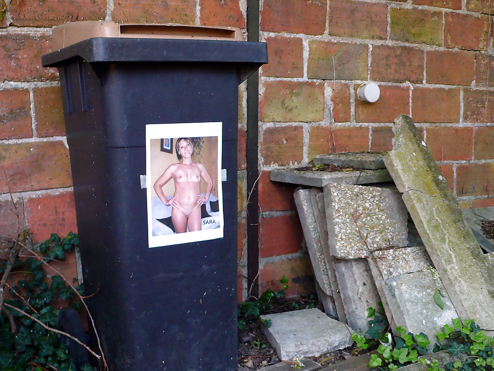 サロペの博覧会
 #22401184