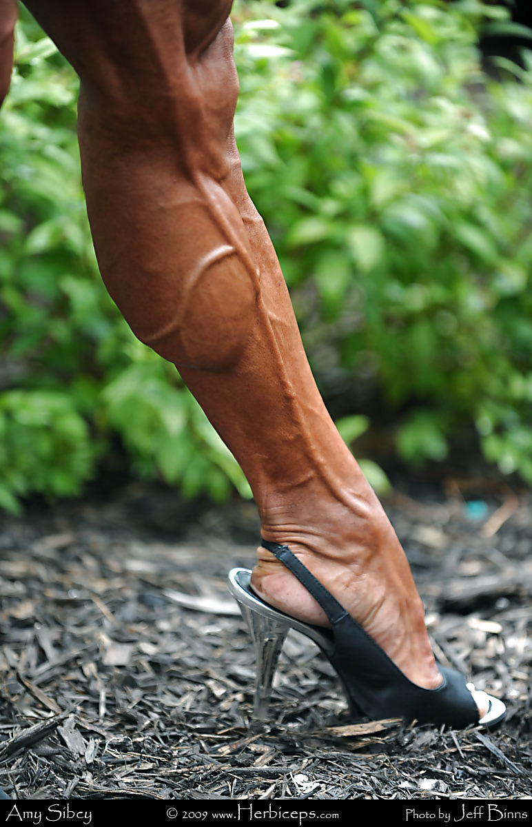 Veiny misc
 #13347527