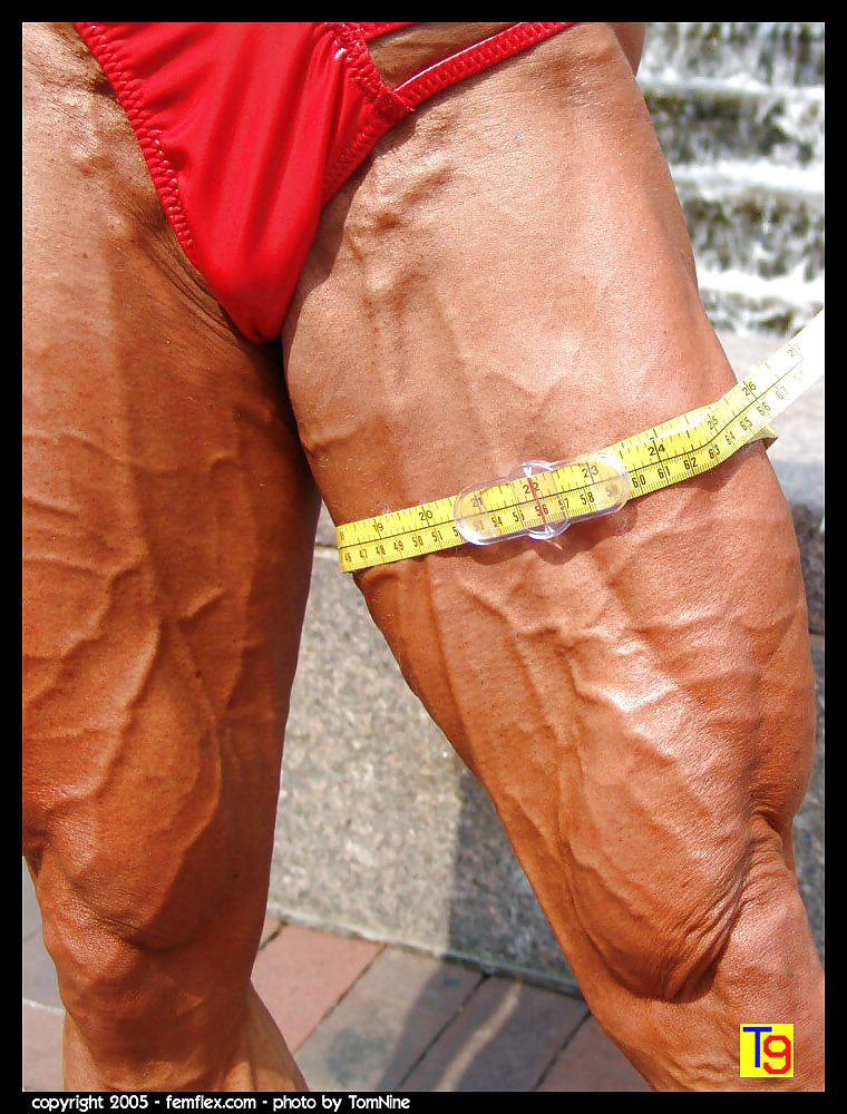 Veiny misc
 #13347636