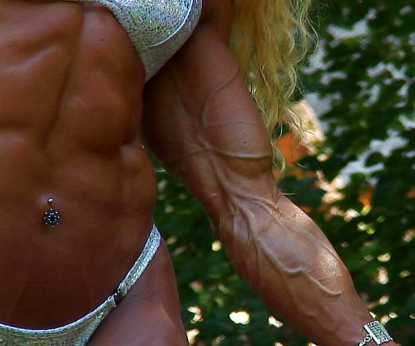 Veiny Misc #13347799