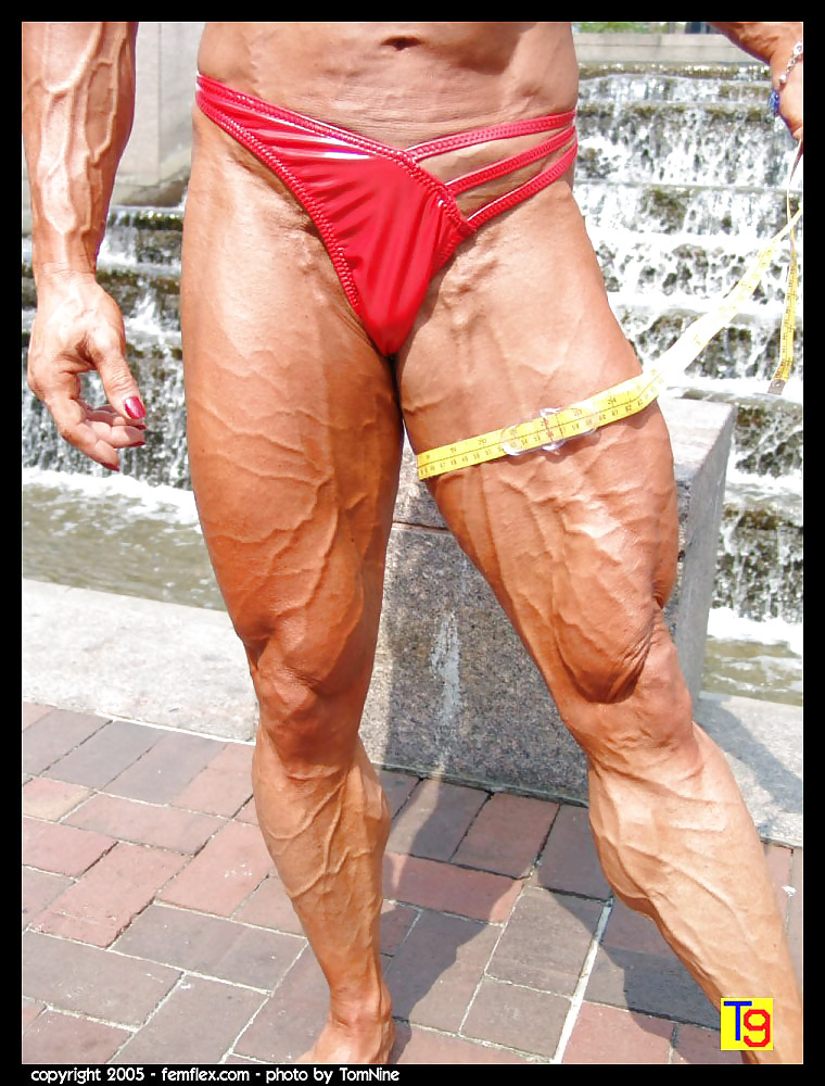 Veiny misc
 #13347832