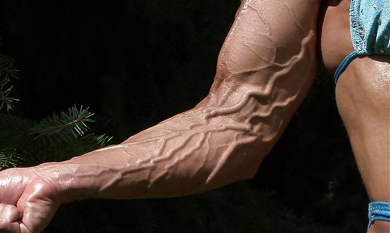 Veiny misc
 #13347846