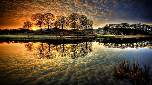 Bellezas de la naturaleza
 #13251067