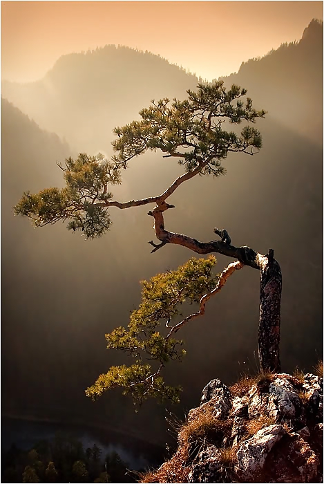 Bellezas de la naturaleza
 #13251077