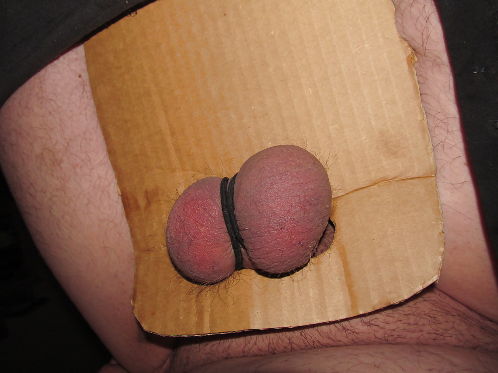 SPUNK  BALLS CBT #22858513