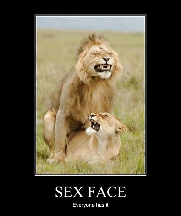 Funny Sex Related Picture's #18698404