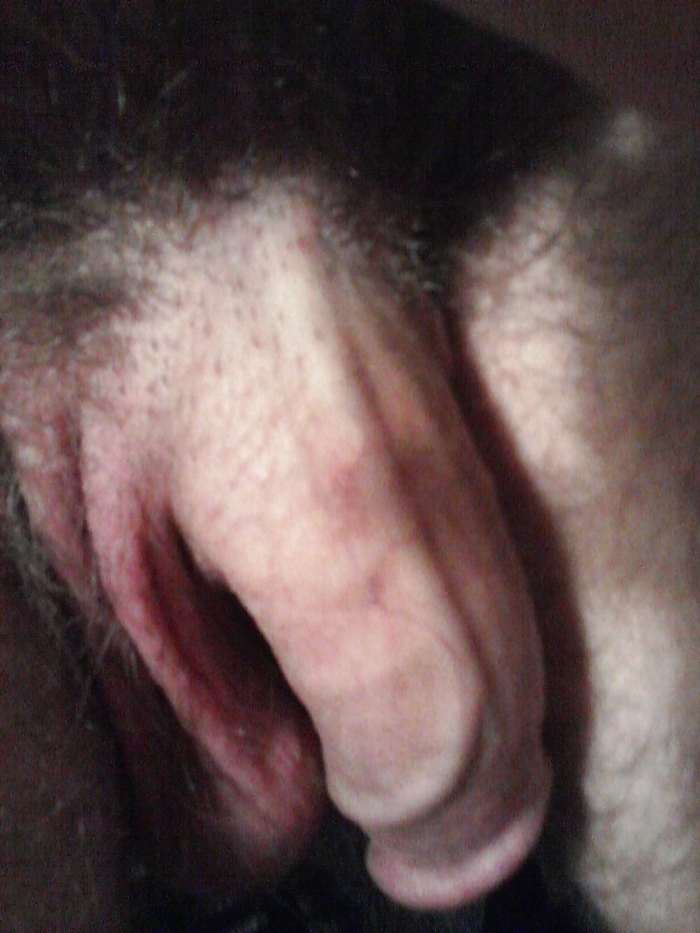 My cock 2 #3821189