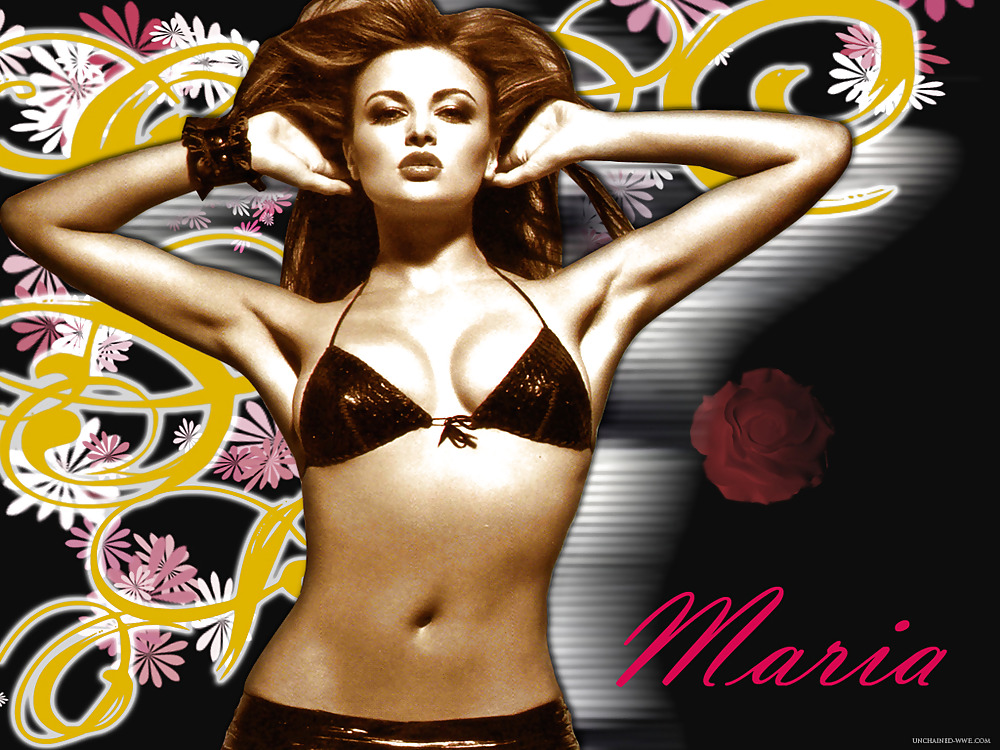 Maria Kanellis  WWE Diva mega collection #1361522