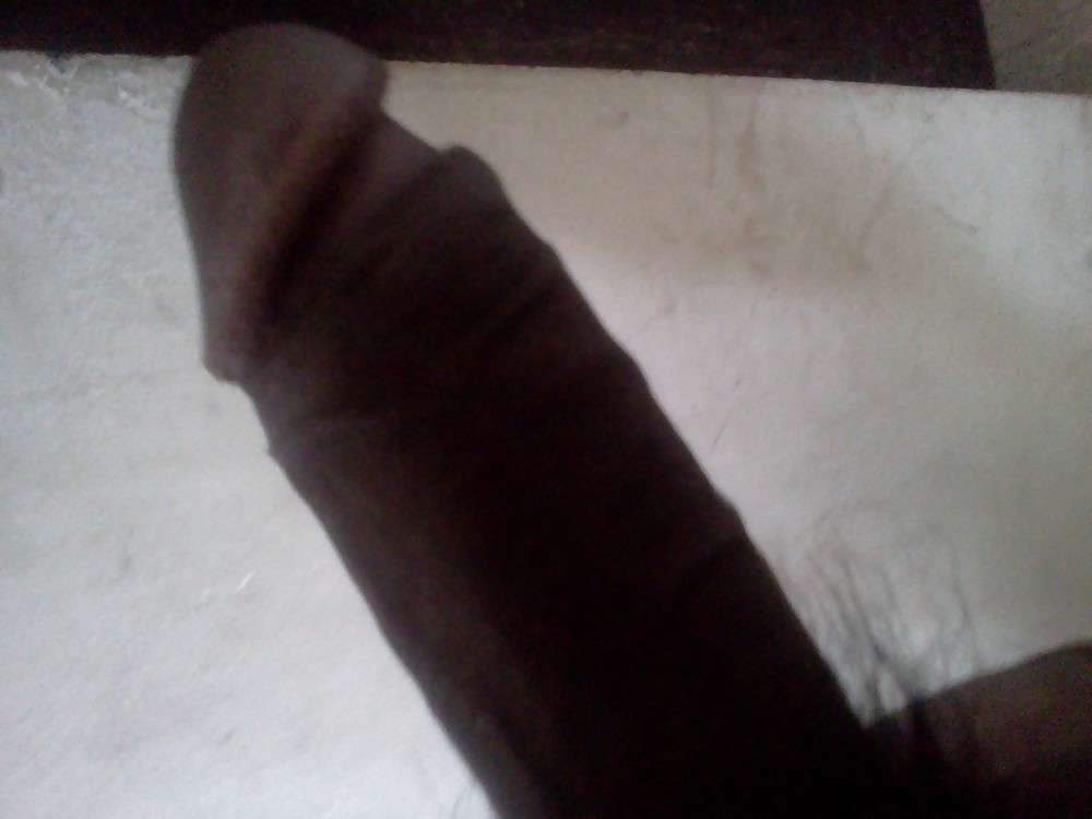 今日のスペシャル
 #16350363