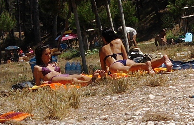 Paparazzi 
 #13310620