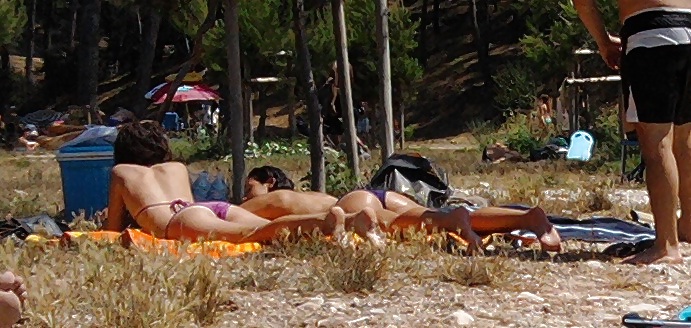 Paparazzi 
 #13310630