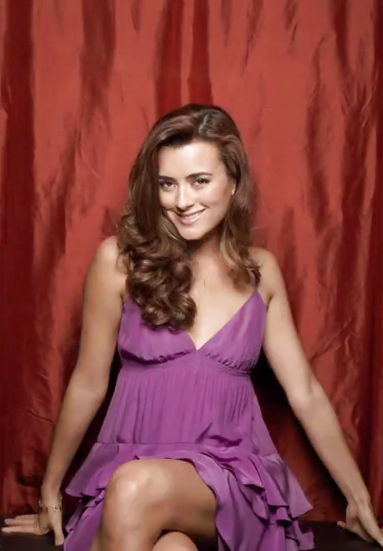 Cote depablo ultimate ncis collection
 #11854720