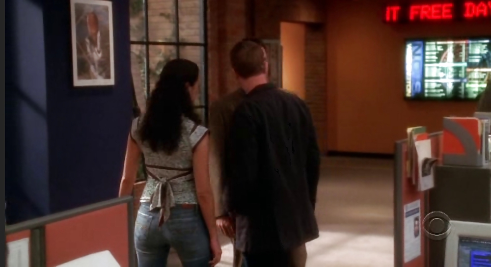 Coté De Pablo Ultimative NCIS Sammlung #11854890