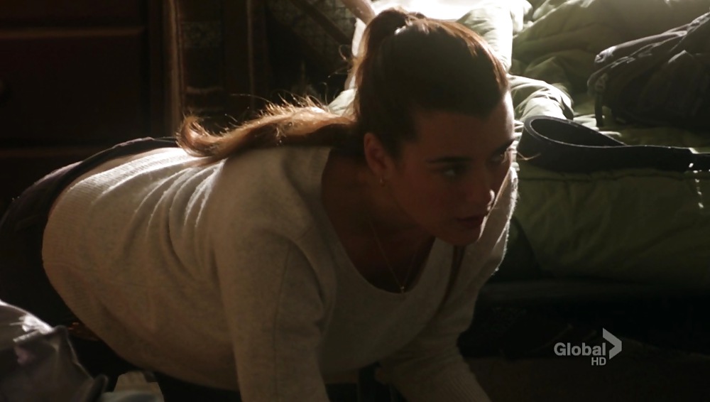 Cote DePablo Ultimate NCIS Collection #11855058