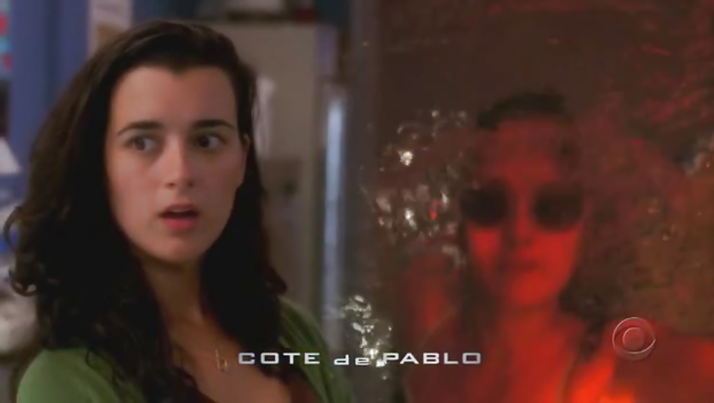 Cote depablo ultima collezione ncis
 #11855356