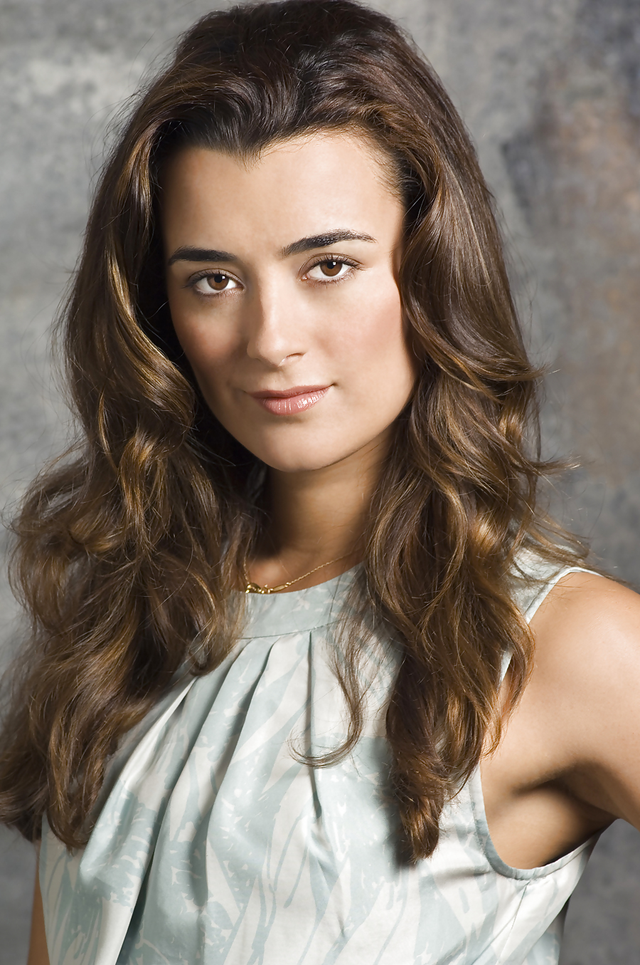 Cote depablo ultimate ncis collection
 #11855606