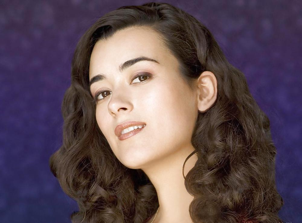 Cote depablo ultimate ncis collection
 #11855967