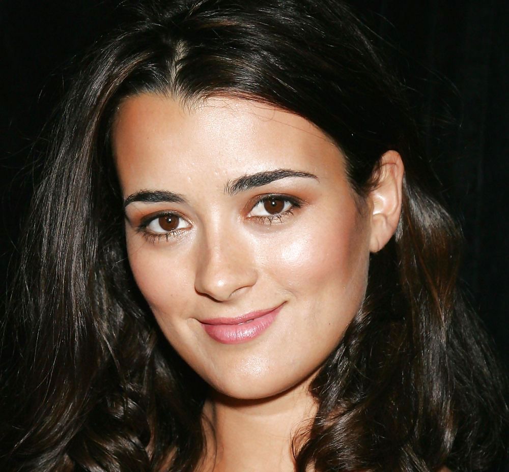 Cote DePablo Ultimate NCIS Collection #11856239