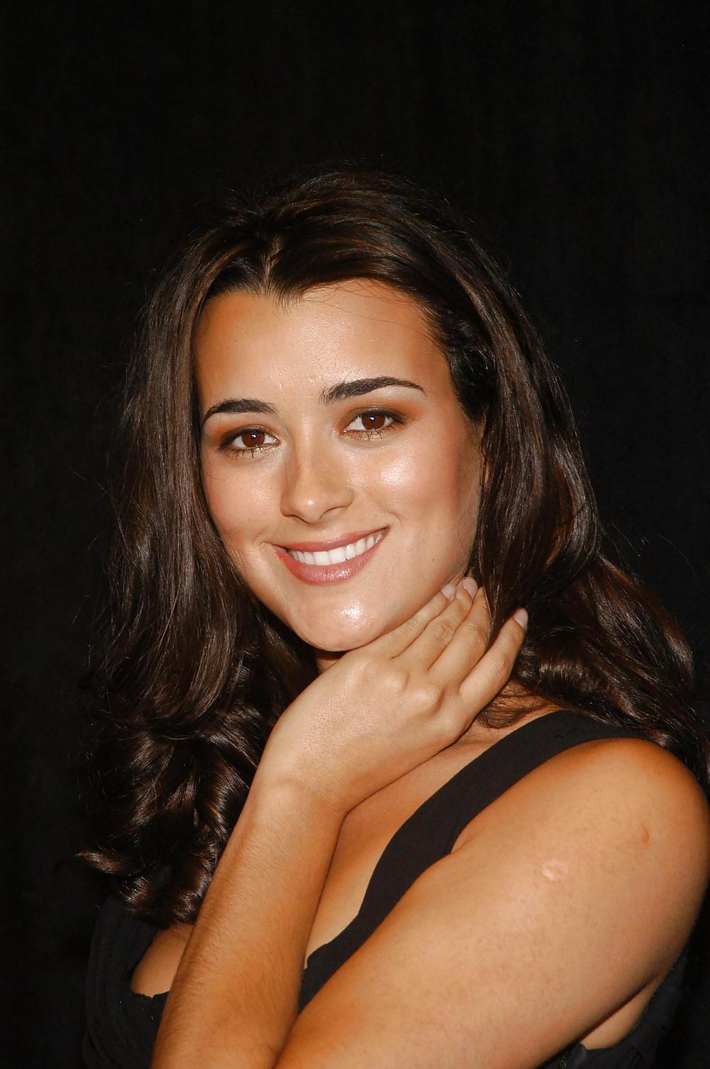 Cote depablo ultimate ncis collection
 #11856253