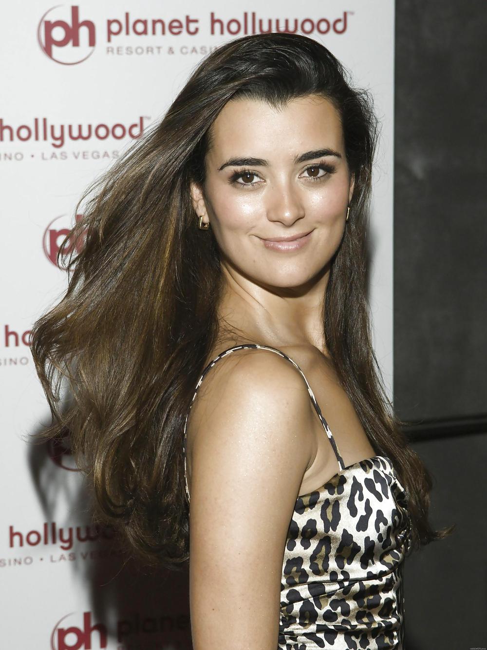 Cote DePablo Ultimate NCIS Collection #11856462