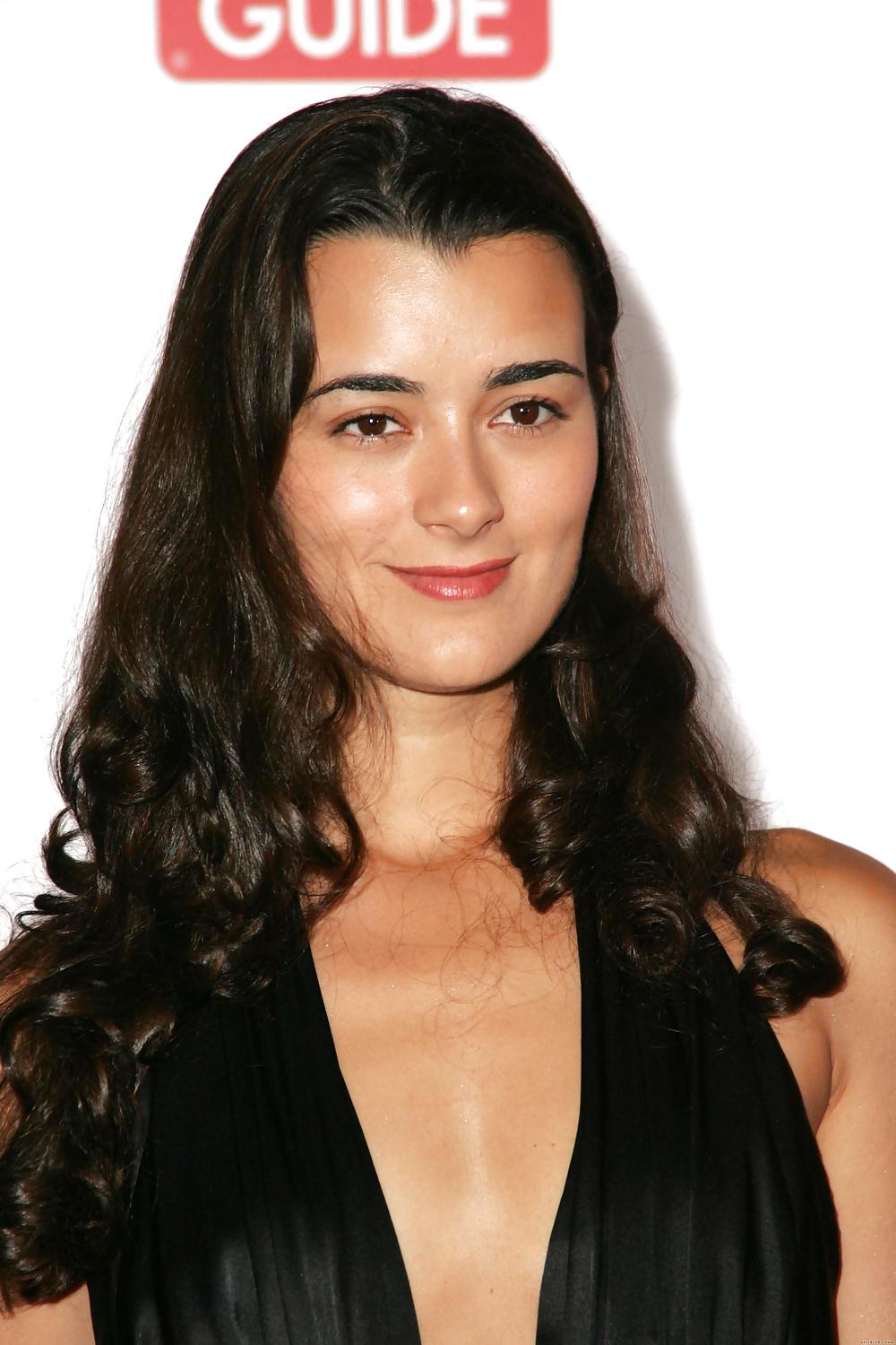 Cote DePablo Ultimate NCIS Collection #11856492