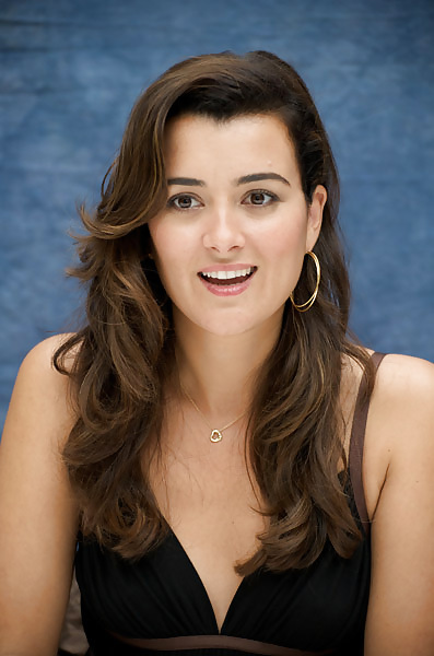 Cote depablo ultimate ncis collection
 #11856498