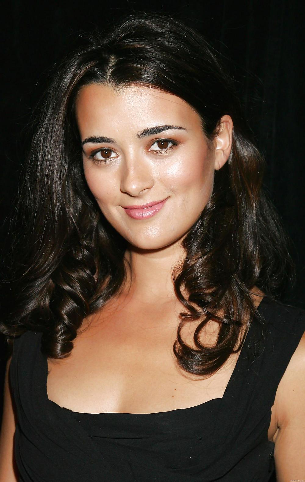 Cote depablo ultimate ncis collection
 #11856598