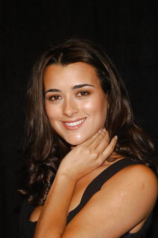 Cote depablo ultimate ncis collection
 #11856604