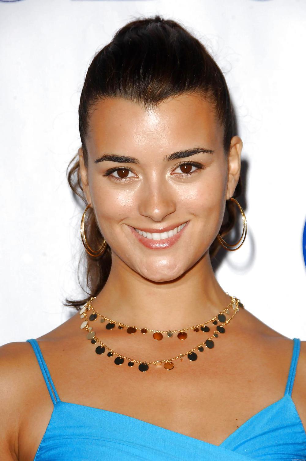 Cote DePablo Ultimate NCIS Collection #11856669