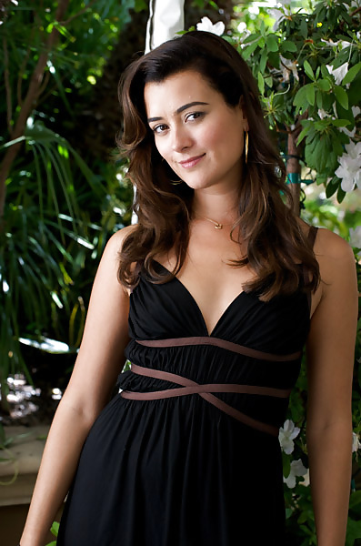 Cote DePablo Ultimate NCIS Collection #11856693