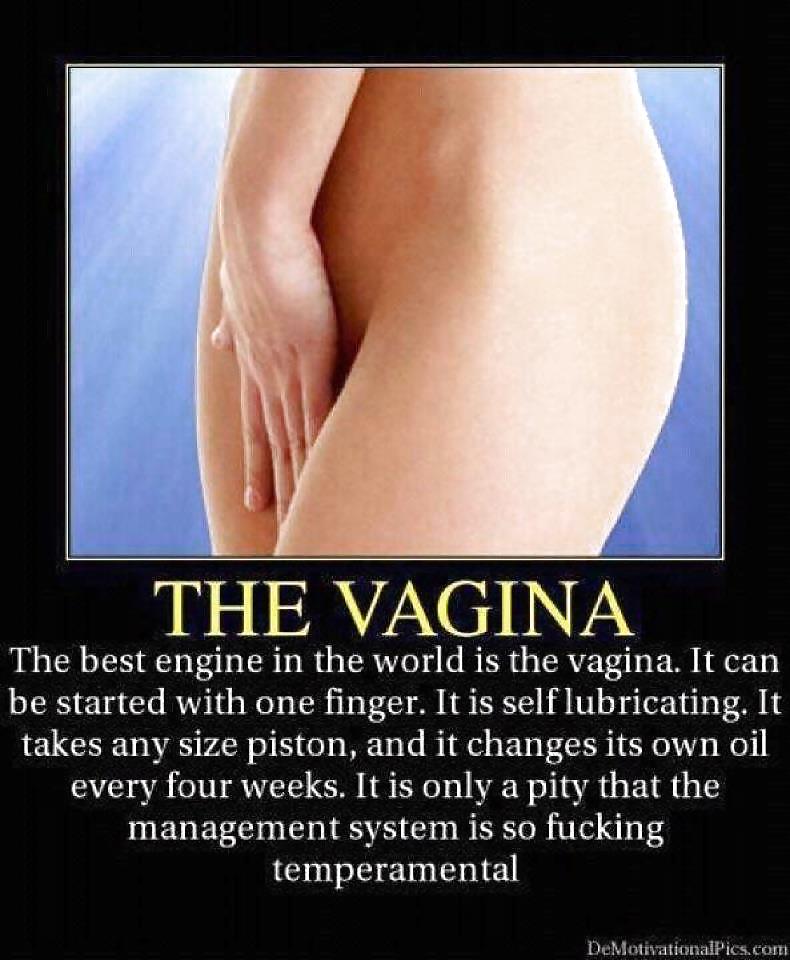 Sexual Humor... #10876846