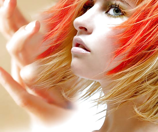 Differnet shades of red #8117076