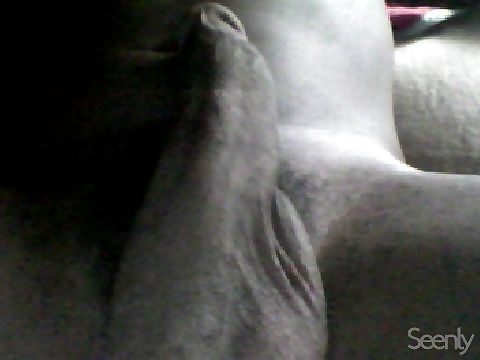 俺のチンコ
 #20257261