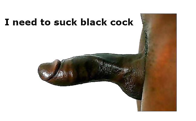 Black cock love #18088209