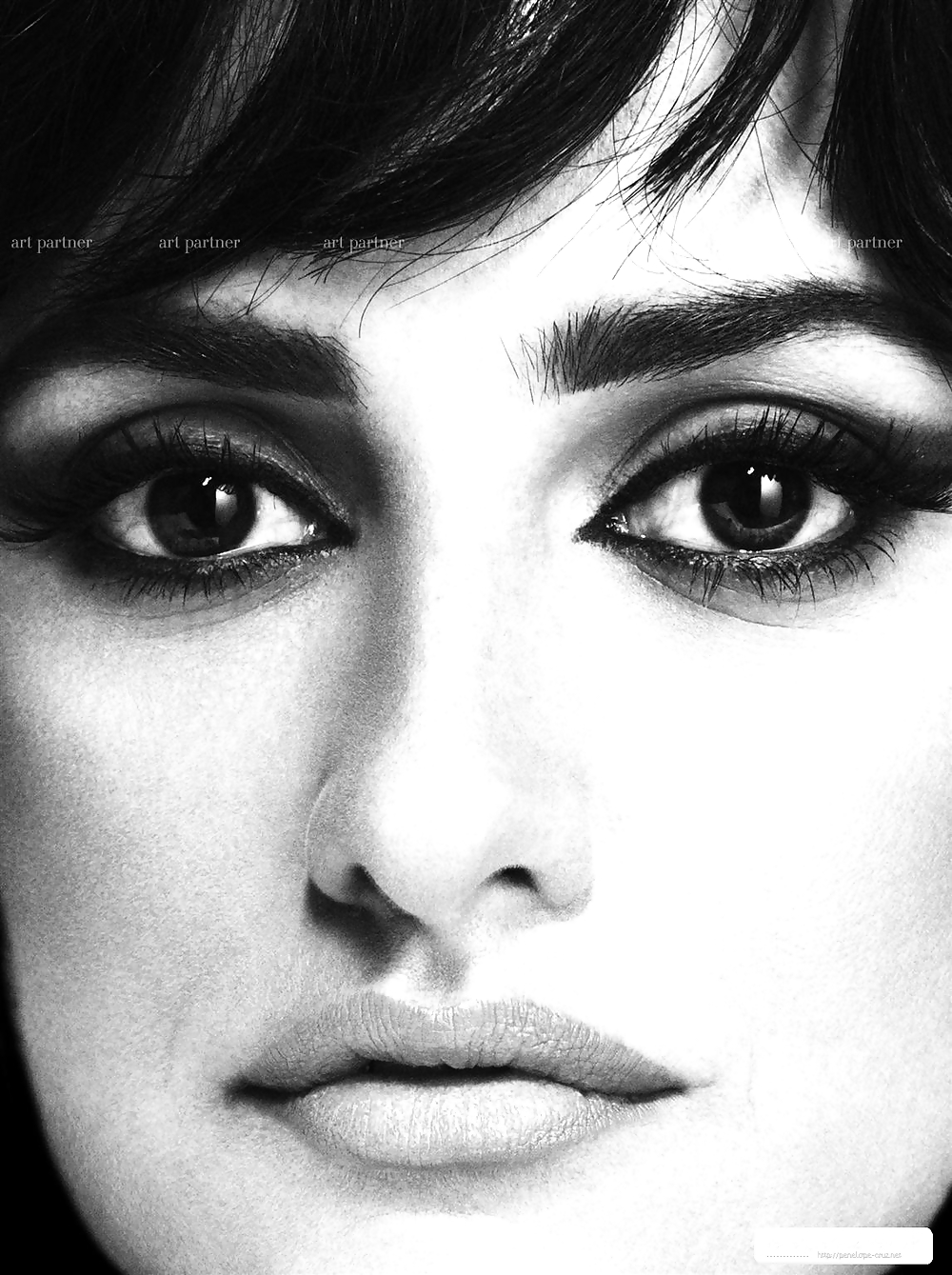 Penelope Cruz #3682333