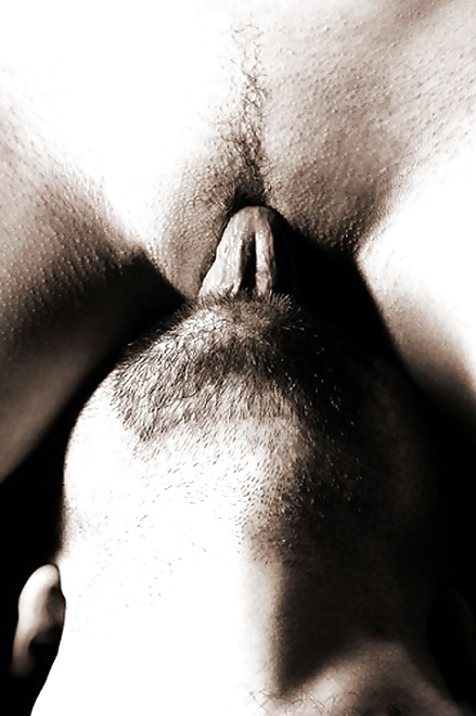 Tb-collection, pain or lust ix
 #8857202