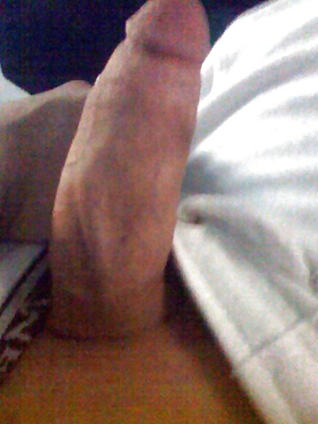 俺のチンコ
 #19217615