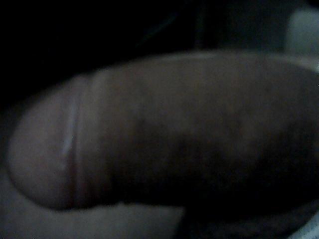 Grov #4562589
